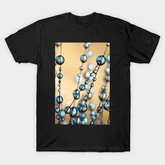 Gold and Blue Grass Seed Drops II T-Shirt by SharonJ